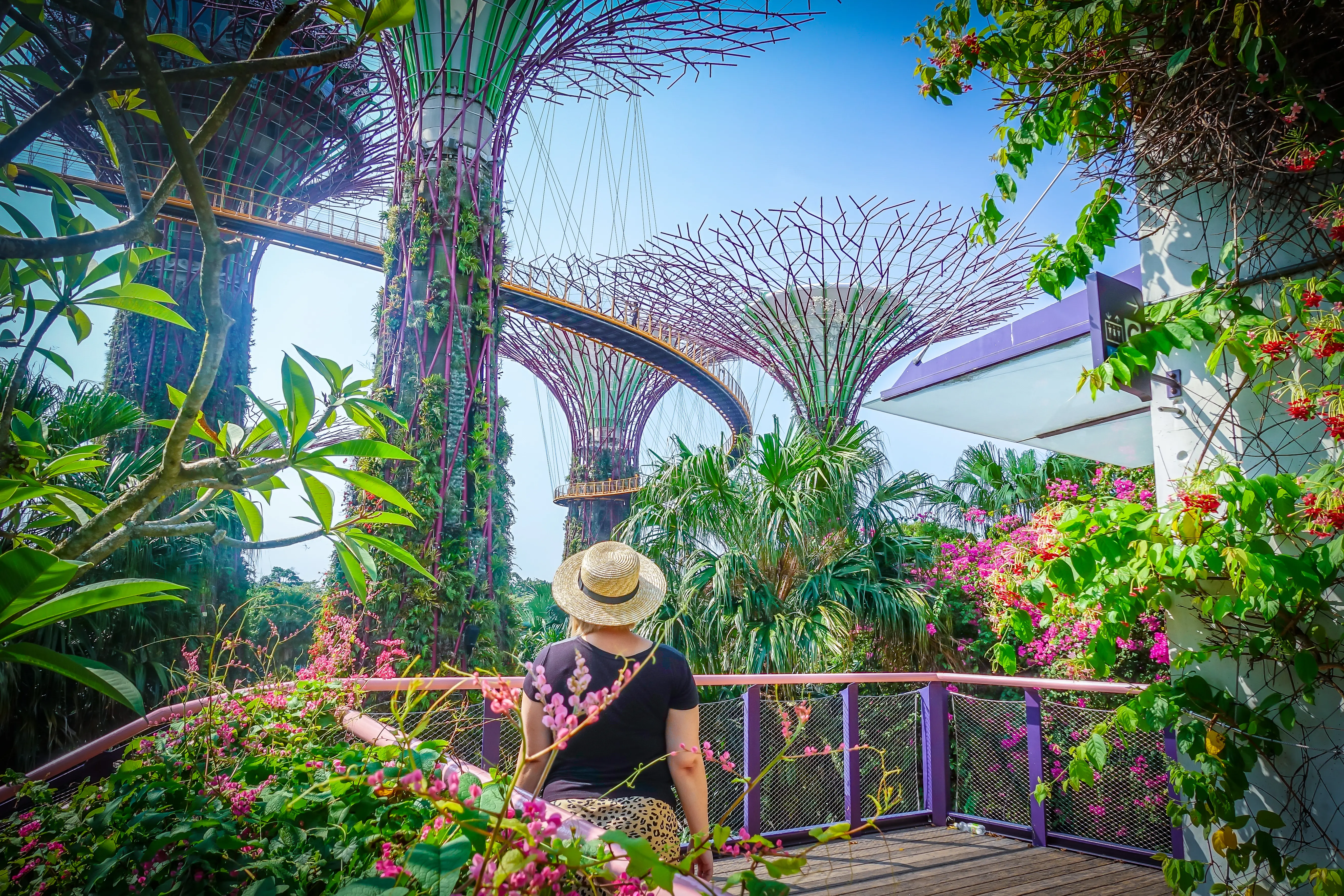 Gardens by the bay, Singapore