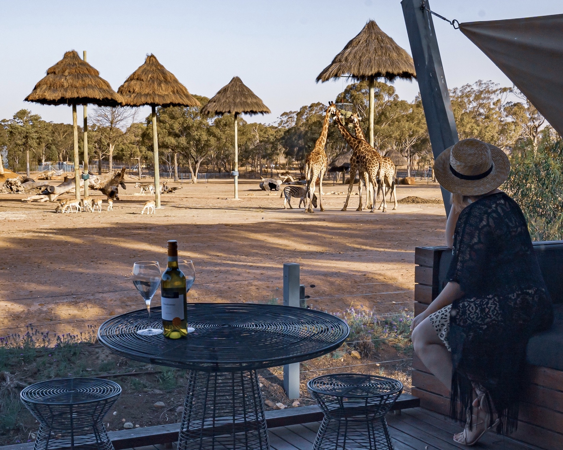 Taronga Western Plains Zoo, Zoofari Lodge