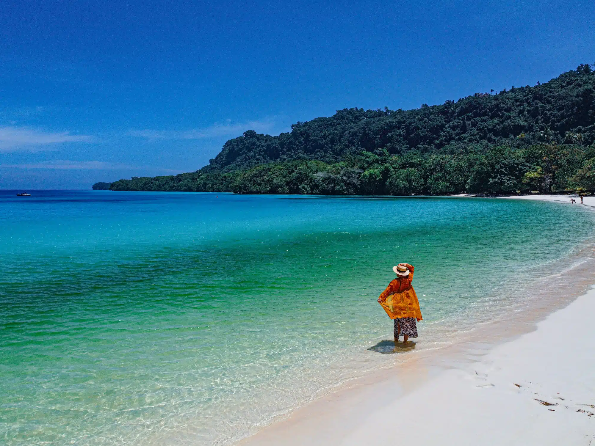Champagne beach drone shot