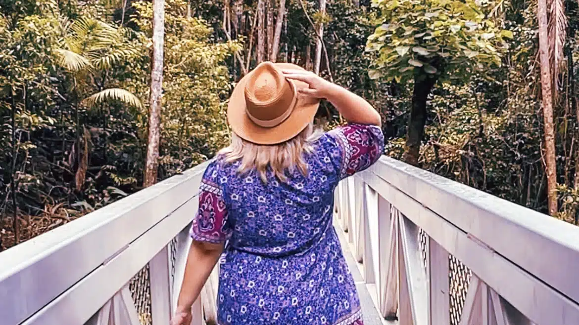 Tamborine Mountain Rainforest Skywalk