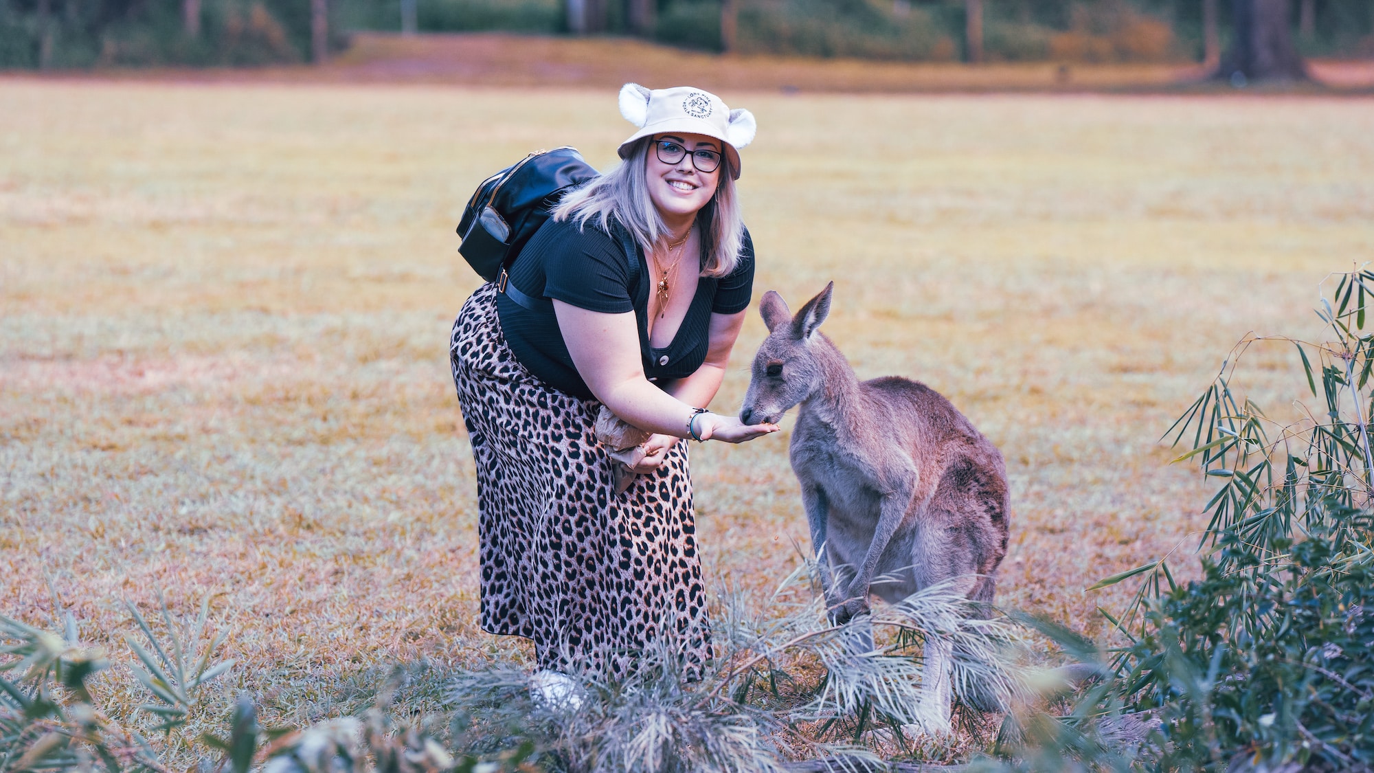 Lone Pine Koala Sanctuary, Brisbane