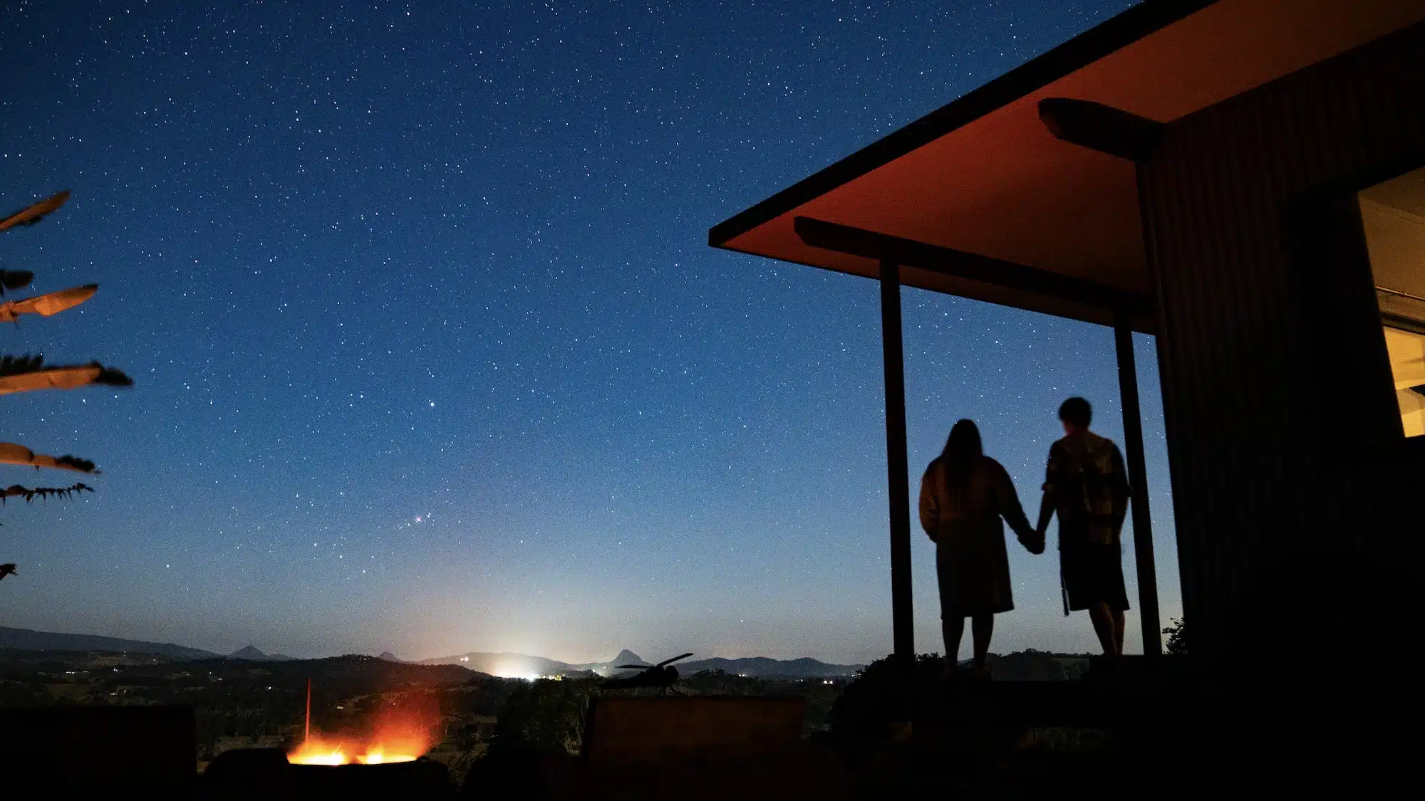 stargazing couple holding hands at the Avocado Tree Farm